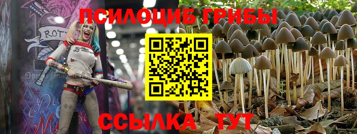 Галлюциногенные грибы Psilocybine cubensis  Галлюциногенные грибы Cubensis  купить  цена  Вход с VPN  Реутов 
